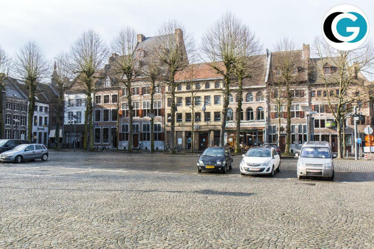 Villa Mooi Maasland Maaseik Ngoại thất bức ảnh